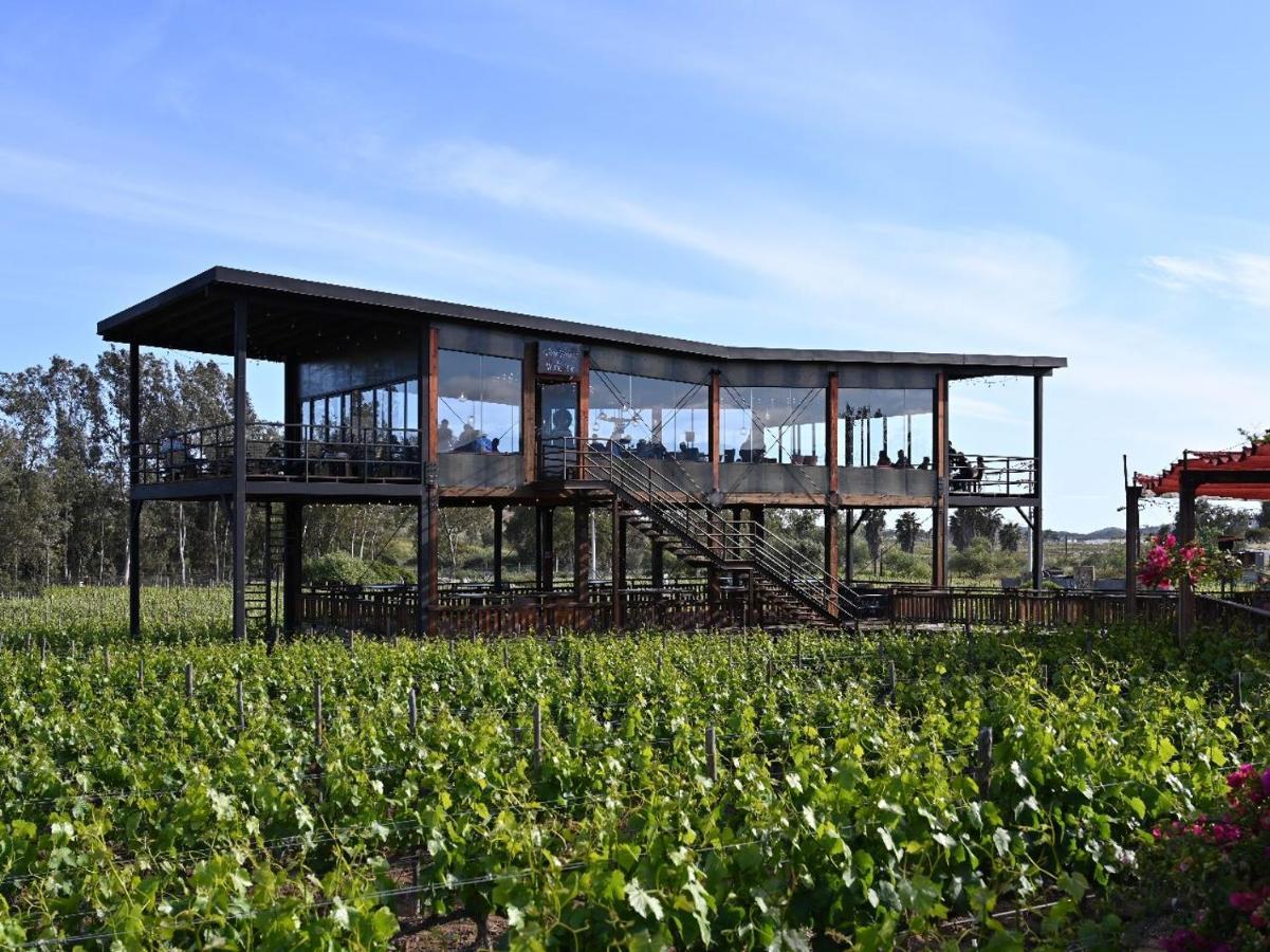 Don Tomas Vinedo Cabanas Valle de Guadalupe Extérieur photo