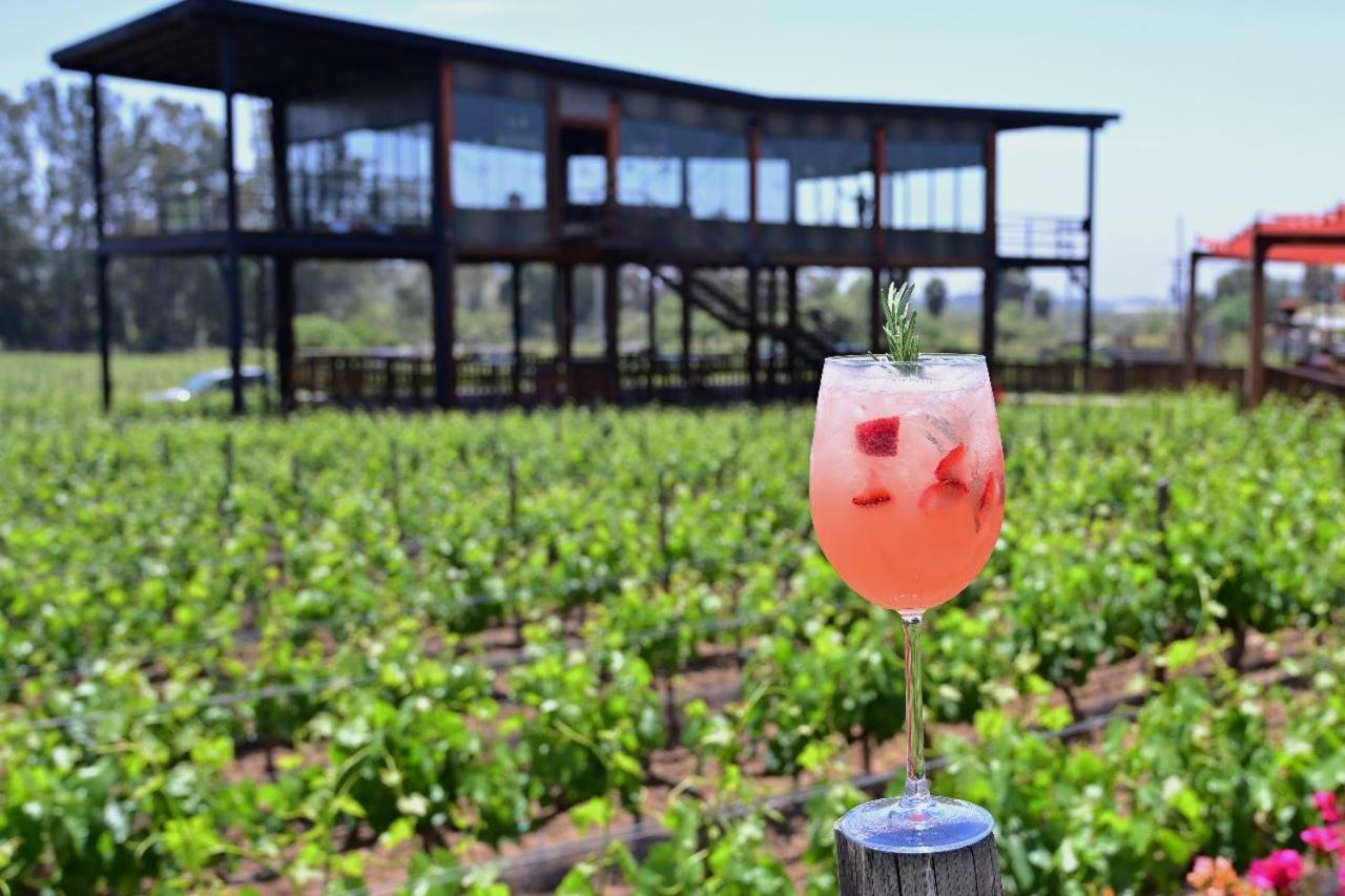 Don Tomas Vinedo Cabanas Valle de Guadalupe Extérieur photo