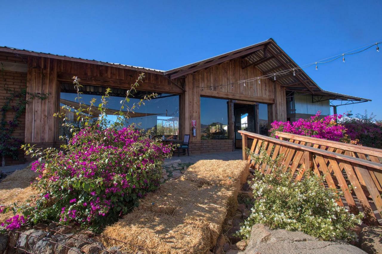 Don Tomas Vinedo Cabanas Valle de Guadalupe Extérieur photo